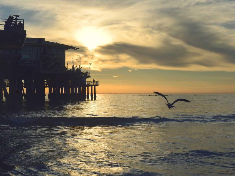 穹顶之下<br>uwsuuyl.cn 切斯特磨坊镇